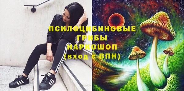 сатива Инта
