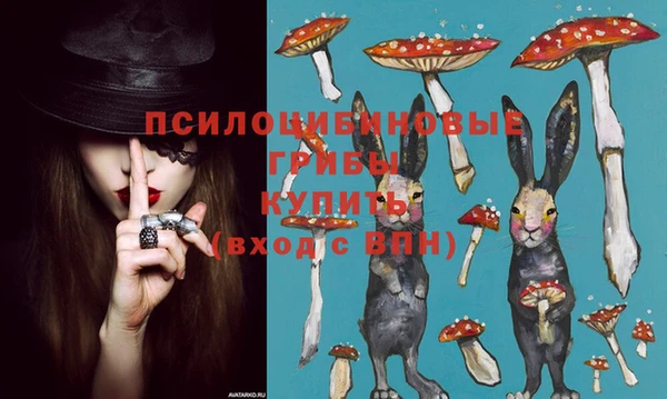 ешки Зеленокумск
