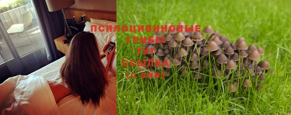 ешки Зеленокумск